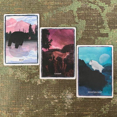 Cards from the Animal Magic Oracle: Bear, Cougar, Mountain Goat