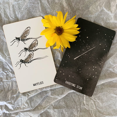 Mayflies and SHooting Star cards from the Empty Cup Oracle deck, a black and white indie oracle