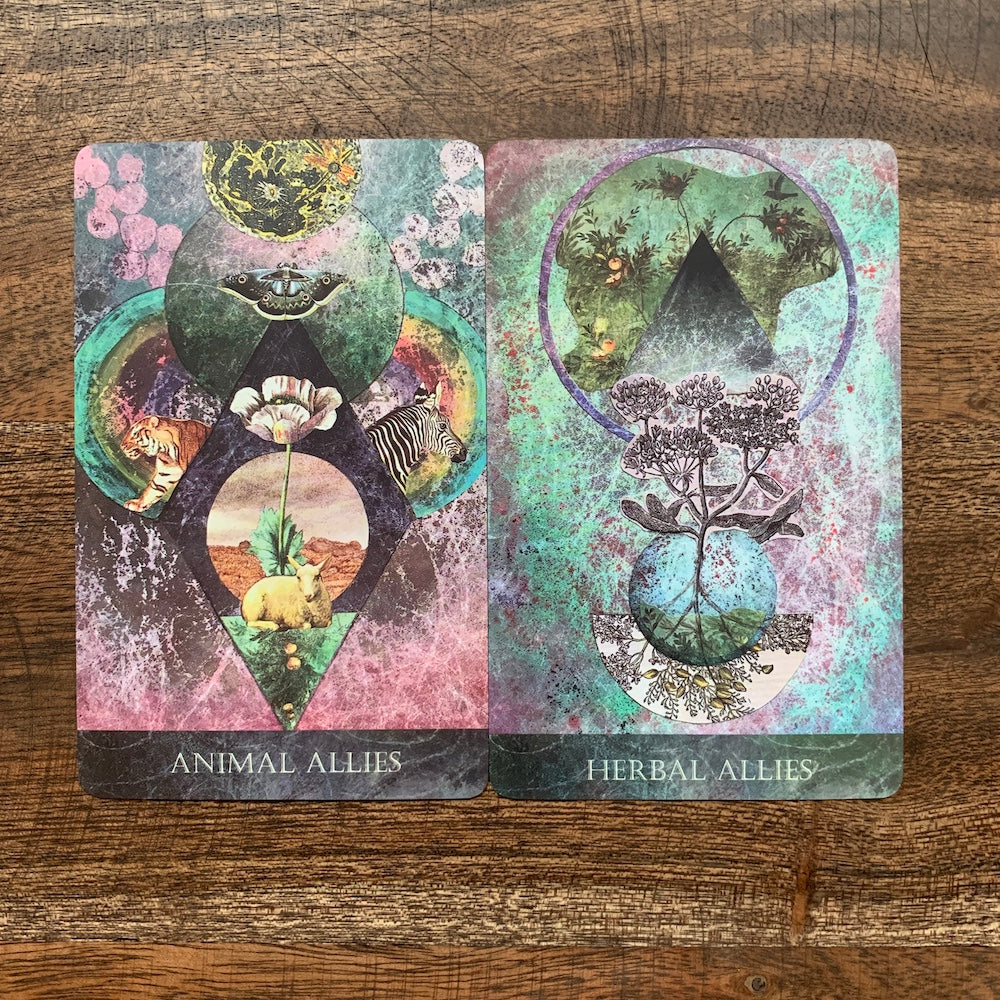 Animal allies and herbal allies cards from the Faceted Garden Oracle, incorporating scared geometry