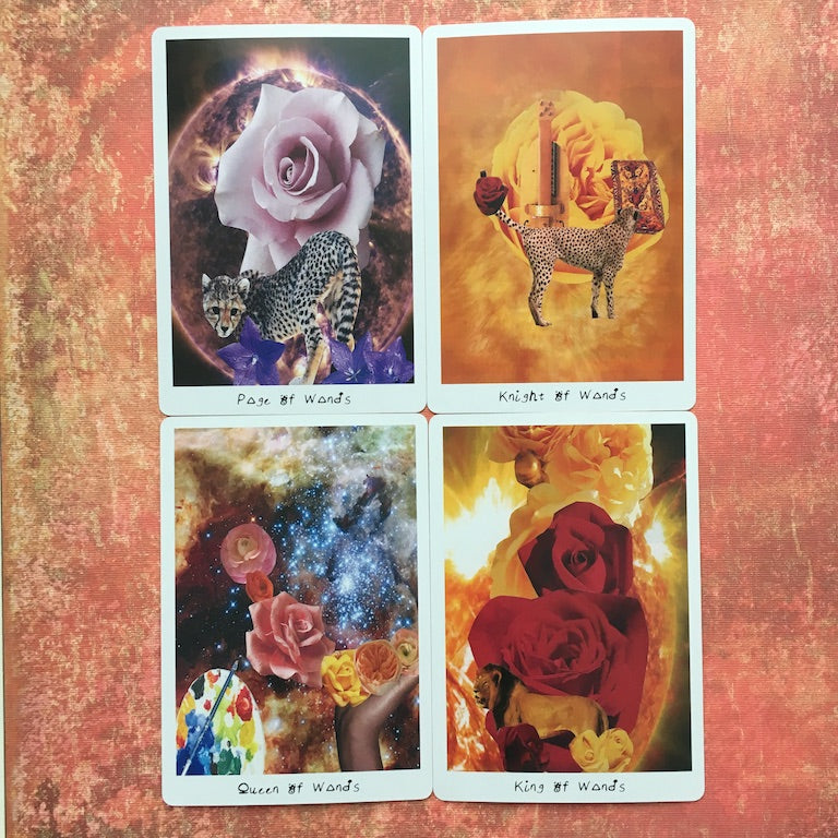 Lioness Oracle Tarot